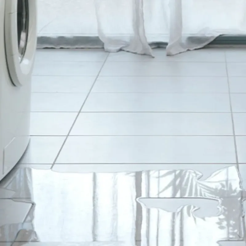 Appliance Leak Cleanup in Jackson County, FL