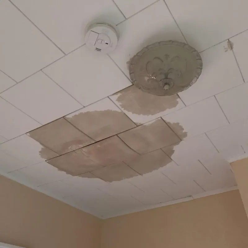 Ceiling Water Damage Repair in Jackson County, FL